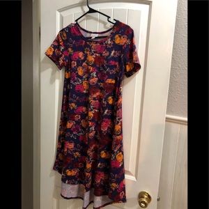 Lularoe Xxs Carly dress